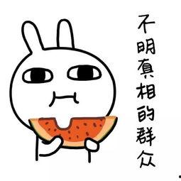 娱乐吃瓜酱学霸学渣,学霸与学渣的趣味碰撞